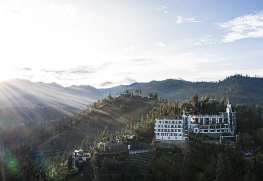 1. 플라타란 브로모..