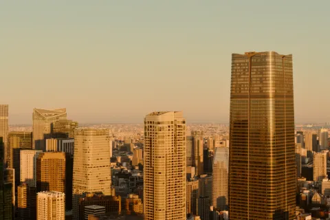 迦努東京
