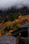 有美隱宿·九寨雲裳民宿 - 浪漫/情侶
