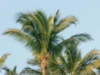 Bay's Inn Resort Hotels in Baler