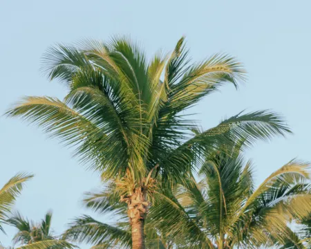 Bay's Inn Resort Hotéis em Baler