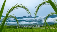 Jiuhua Mountain Youtu Resort Homestay - pemandangan pegunungan