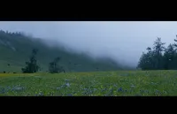 Qingxi Mountain Courtyard (Habahe Tiereketi) - Mountain view