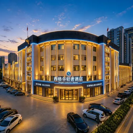 Dongying Siegel Light Luxury Hotel