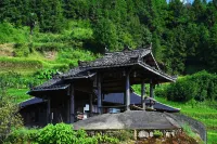 Rongshui Shishangju Homestay (Shishang Renjia Scenic Area) - Pet friendly
