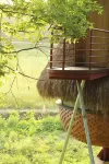 Jingdezhen Yuli Scenic Area Countryside Ant Homestay - Romantik