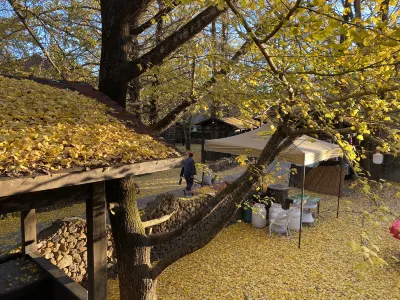 騰沖銀杏村伊珍農家樂客棧 銀杏村住宿飯店