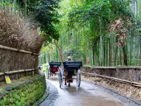 The Blossom Kyoto Hotels in Kyoto