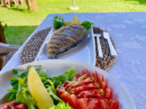 Dalaman Airport AliBaba Hotel Hotels in Dalaman