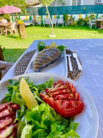 Dalaman Airport AliBaba Hotel