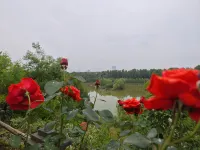 Mengzhou Hejia Courtyard Hotel Hotel in zona Pit Courtyard
