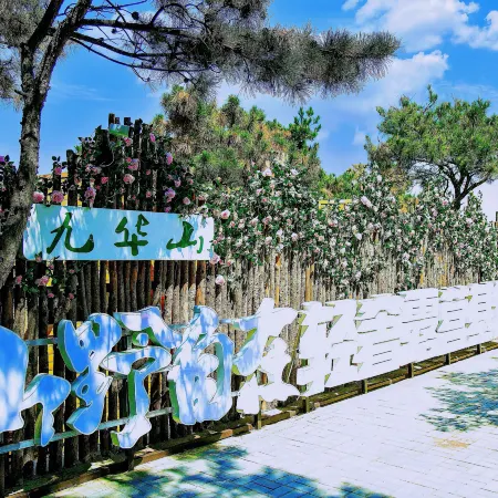 Linghai Shanye Zizai Boutique Camping Base