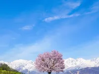 Hotel la Vigne Hakuba by Onko Chishin Hotels in Hakuba