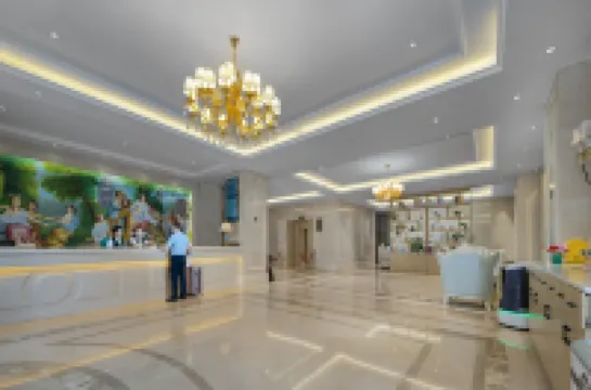 ウィーン インターナショナルホテル(三門峡南駅)