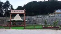 Liulang Senlin Homestay Hotels in Yingshan