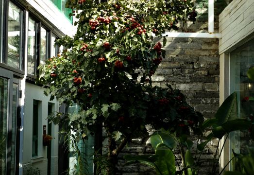 페킹 스테이션 호스텔 외관