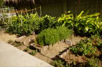 La Joya Farm Resort & Spa Hotels in Pinamungahan