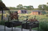 And sheep - Frühstück