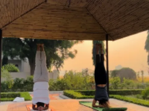Aarogya Naturopathy Village Hotels in Jind