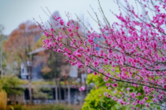 蘇州彤日涵園湖濱度假飯店 雨洞附近的飯店