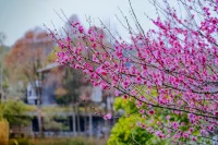 Suzhou Hanyuan Holiday Hotel Hotels near Xishan Island in the Taihu Lake