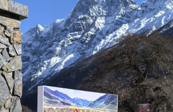 冰川腳下野奢民宿（金嶺店）