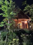 Starry sky