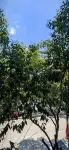 Hui County Shunyi Hotel Hotels in Huixian