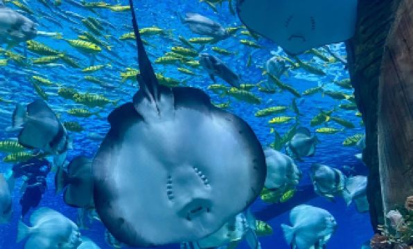 Song Hotel Chongqing