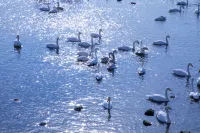 Weihai Chengtou Beichen Hotel - romantis