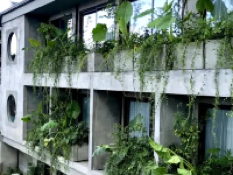 แซด การ์เดน โรงแรม บาย เอช ฮอสพิทาลิตี้ โรงแรมในเอลนิโด