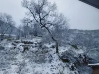 Chongli Zhenshansu Apartment