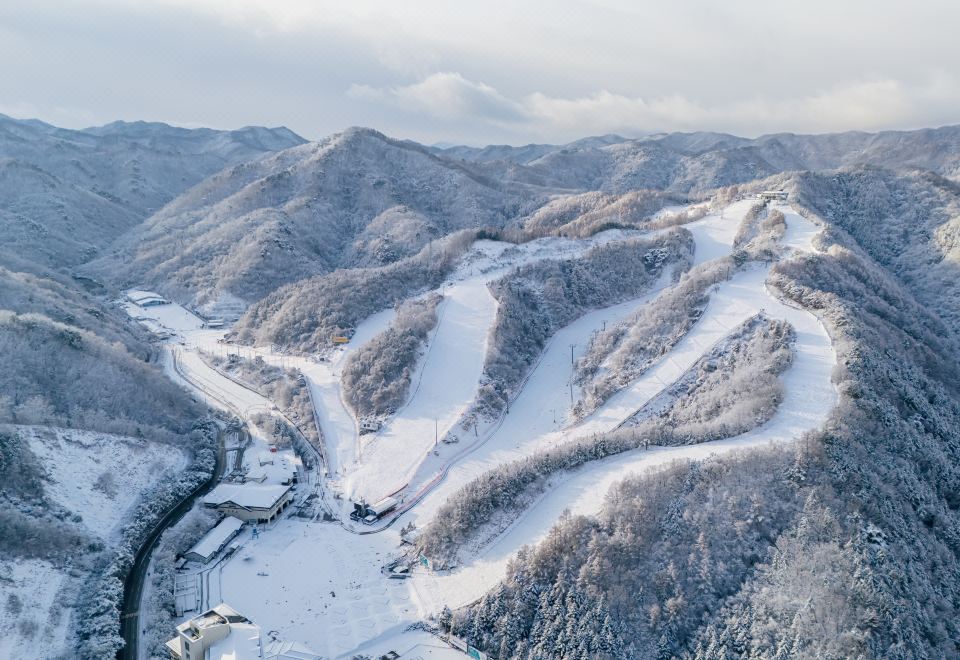 엘리시안 강촌 리조트 전경
