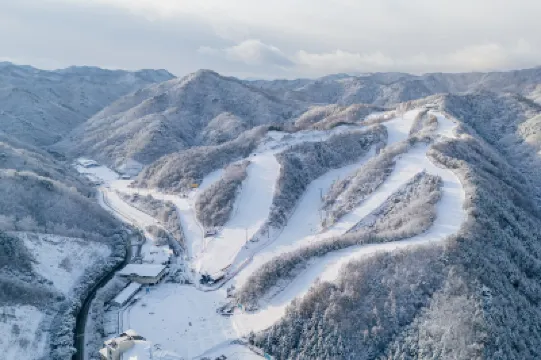 江村樂園飯店 住宿飯店