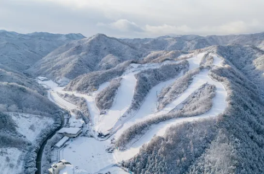 Elysian Gangchon Resort