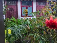 Bada Bowl Homestay - موقف سيارات
