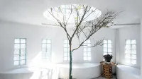 an Chui Hermit Guesthouse - خدمة نقل من وإلى المطار