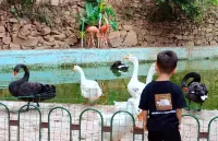 Rezen Retreat  (Wu'an Qibugou Scenic Area) - Gym