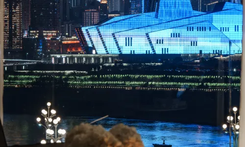 THELILY Designer Hotel (Chongqing Changjiahui Store)