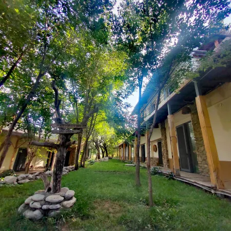 Helan Mountain Rock Art Ancient Village Ancient Forest Homestay
