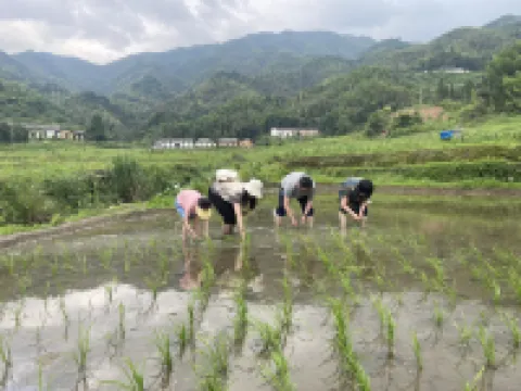 pingjiang shangshan xiaoyin Resort Hotéis em Pingjiang