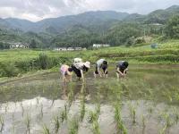 pingjiang shangshan xiaoyin Resort