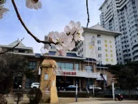 Changbaisong Hotel Hotels in Yanji