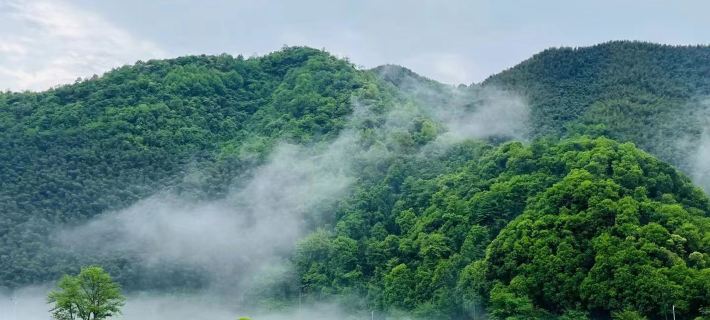 Meet Wonderland Homestay Hotels in Ningguo