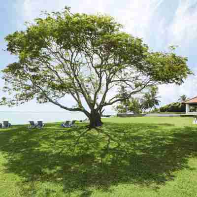 Jetwing Lagoon Wellness, A Luxury Reserve - Adults Only Hotel Exterior