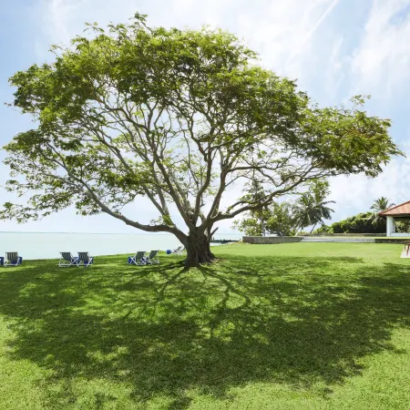 Jetwing Lagoon Wellness, A Luxury Reserve - Adults Only