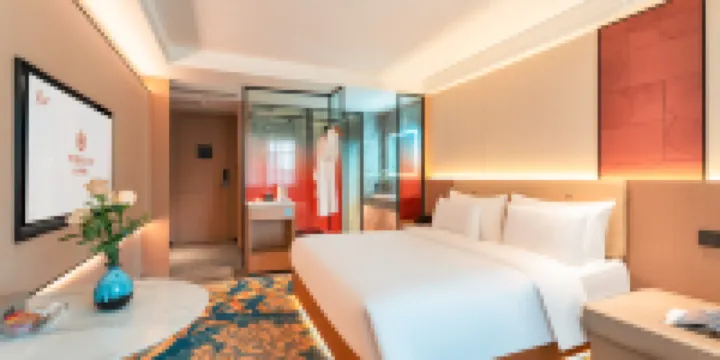 YISHAN HUIXIANG HOTEL - Chambre Simple (spéciale)