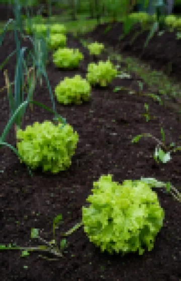 เอสเซนซ์ อาร์เรนัล สปา & โยคะ โรงแรมใน