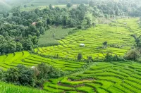 3 Pok Maewang jinxiang Gold elephant park Hoteles en Mae Wang