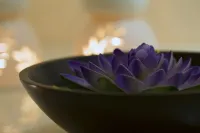 ไท่หยวน แวนดา วิสตา - ที่มีฟิตเนส